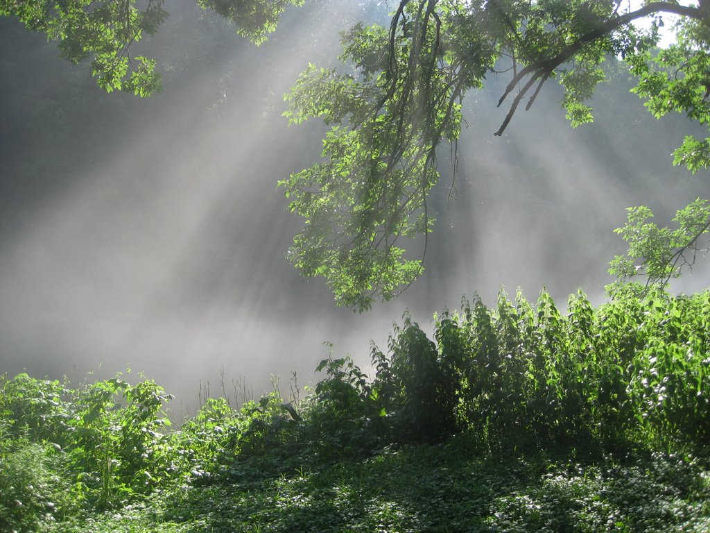 Misty
