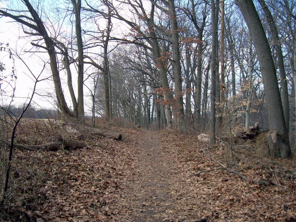 Woodlawn Trail