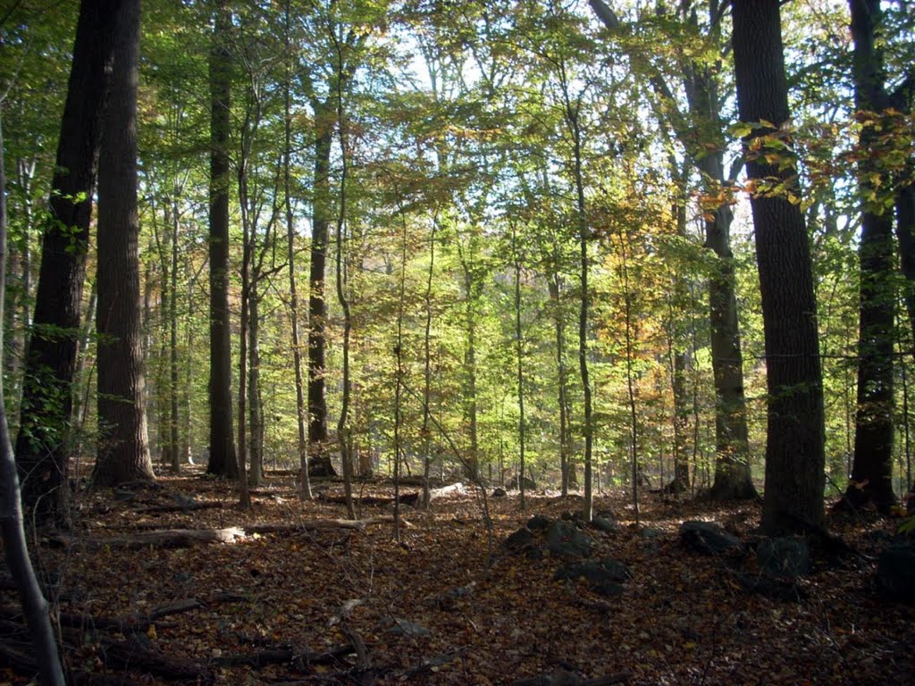 Brandywine Creek State Park