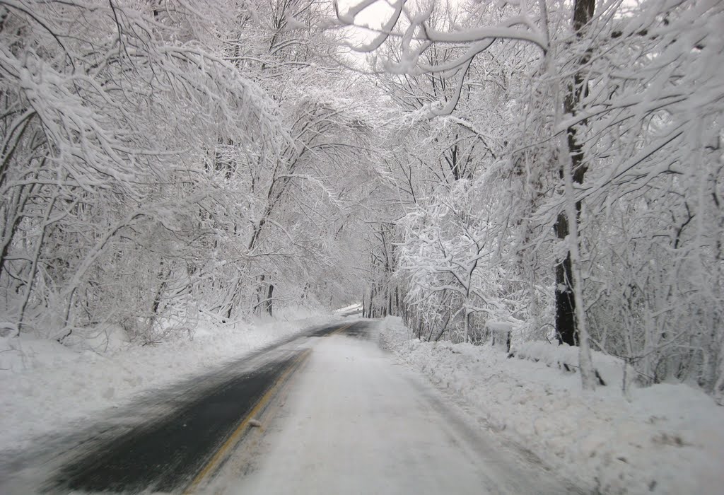 After the snow 1/27/11