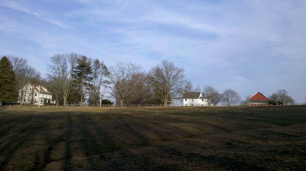 Remnants