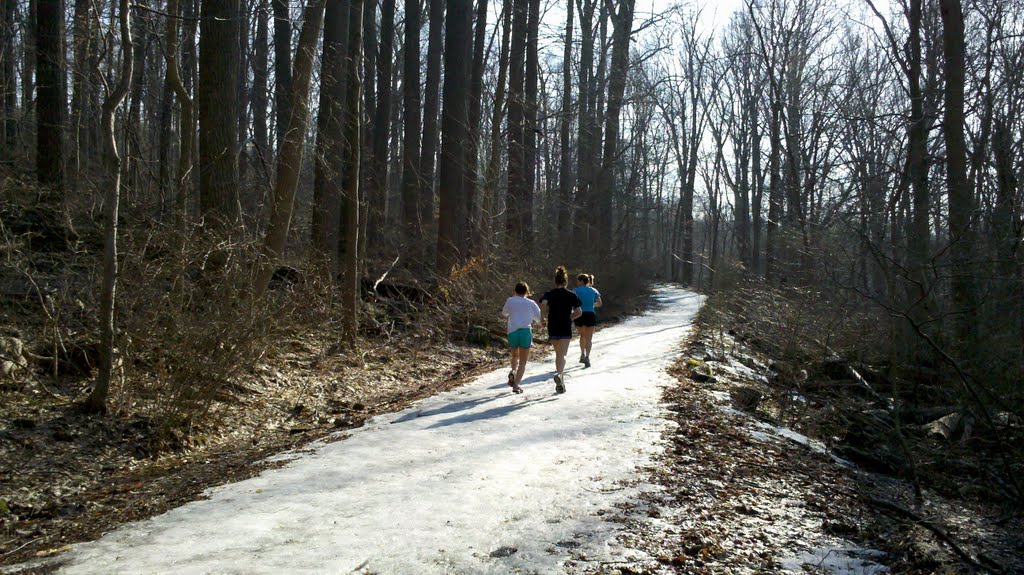 Ice Run