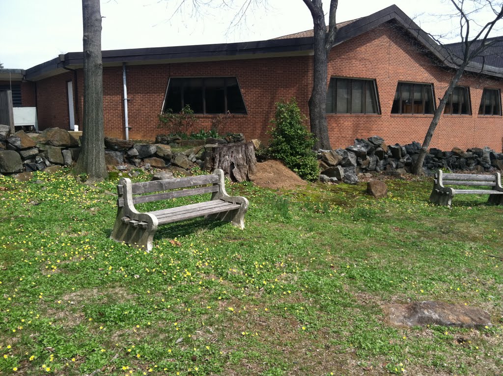 Courtyard Benches