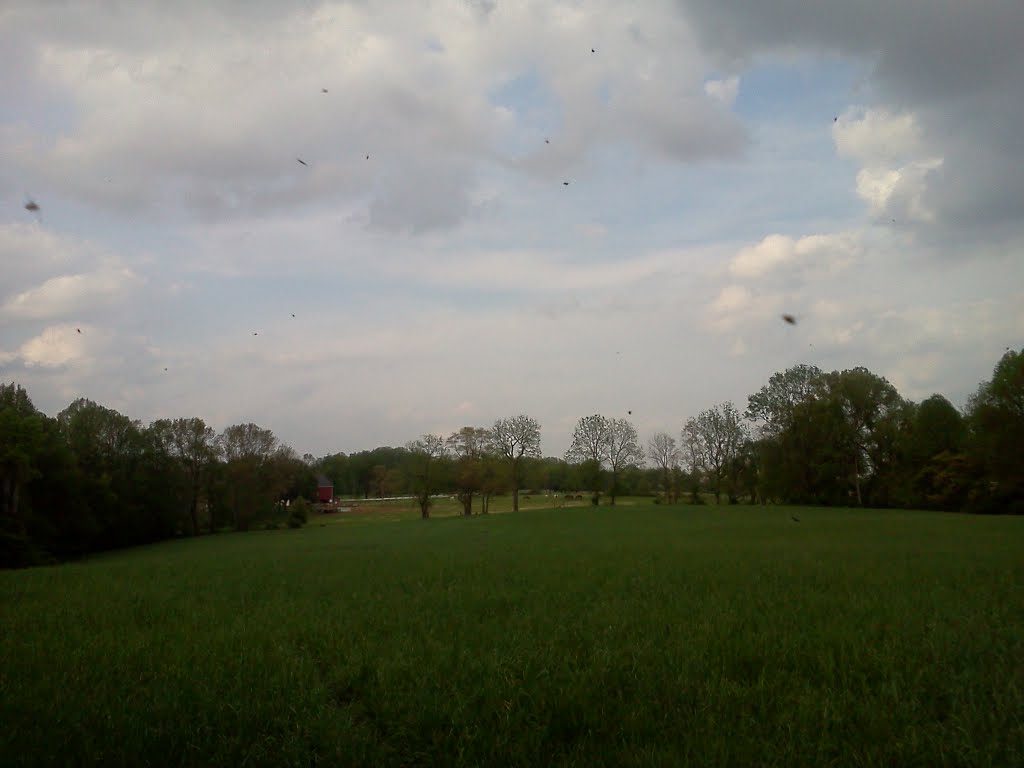 Brandywine Creek State Park