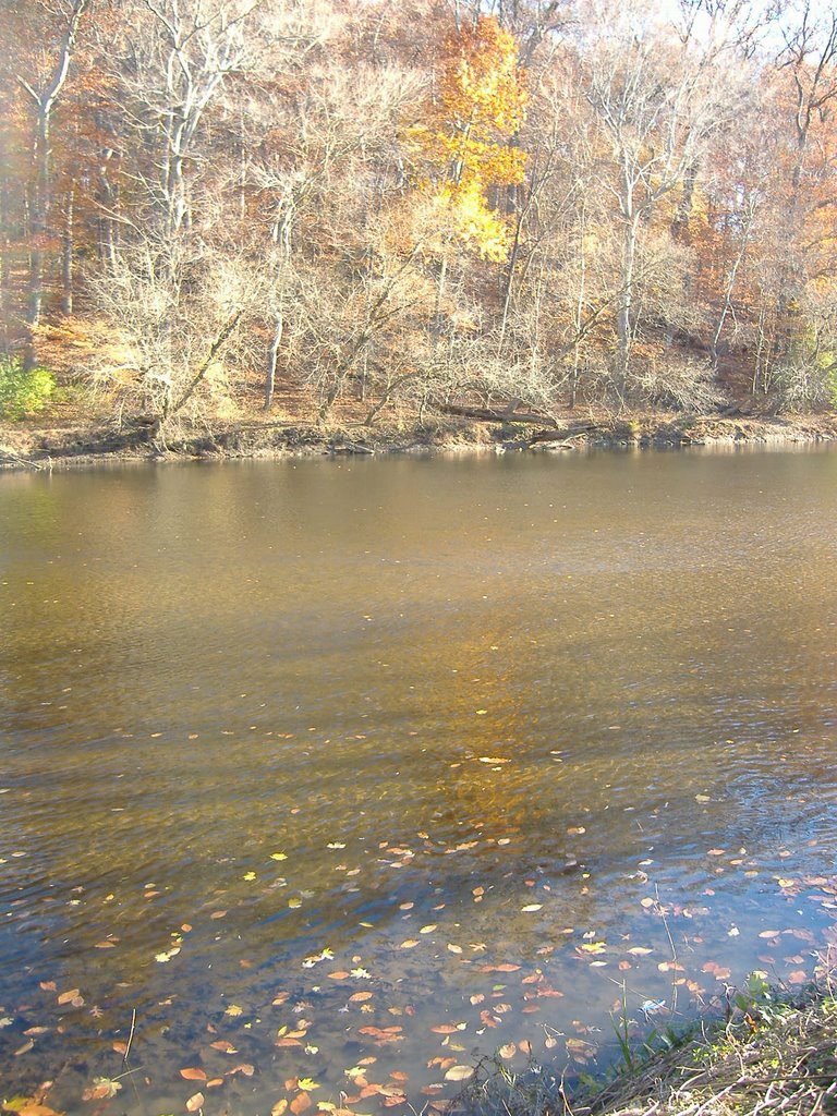 Fall at Brandywine