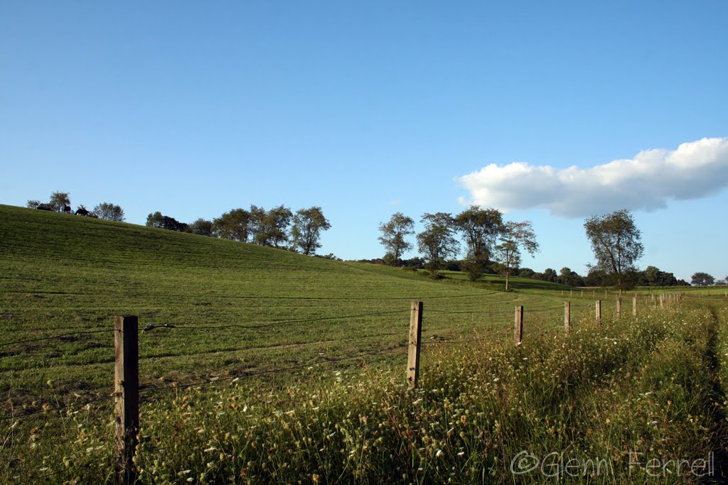 Rural Legacy