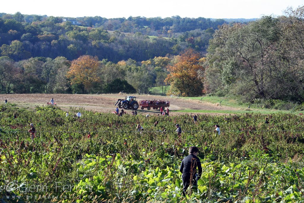 Ramsey Farm, near Beaver Valley, Delaware. Pennsylvania can be seen to the upper right.