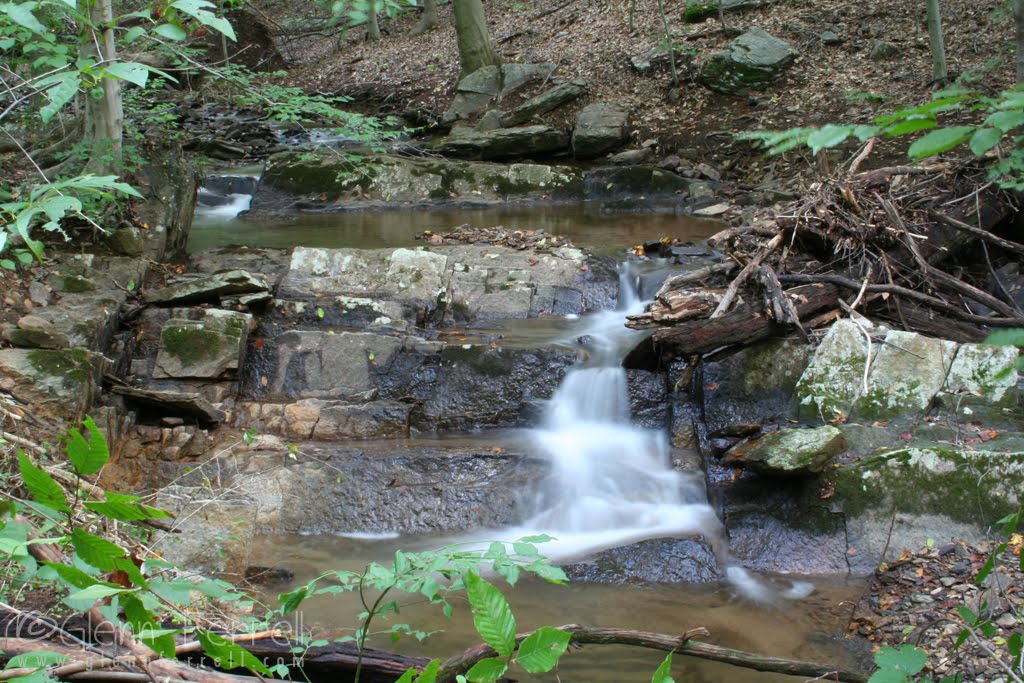 "Irene Falls" on Hurricane Run, Woodlawn Preserve, Brandywine Hundred, Delaware.
