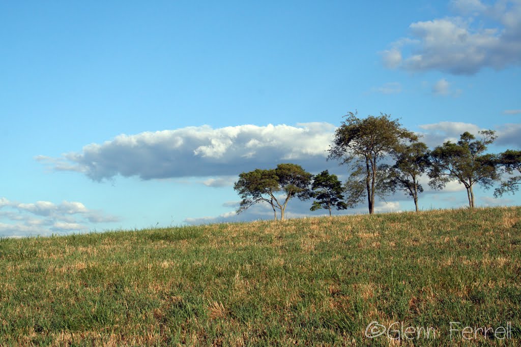 Woodlawn Preserve