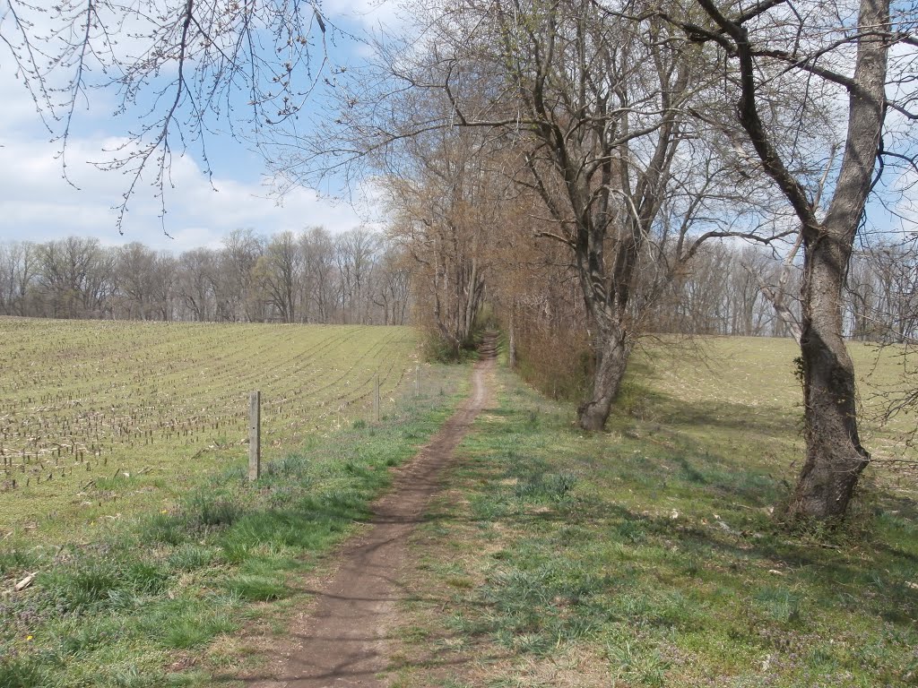 Preserved land in the Brandywine Creek Valley