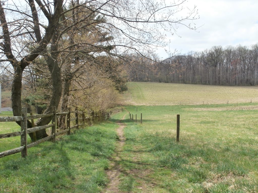 Preserved land in the Brandywine Creek Valley