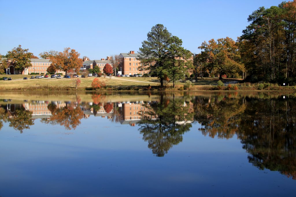 Macon