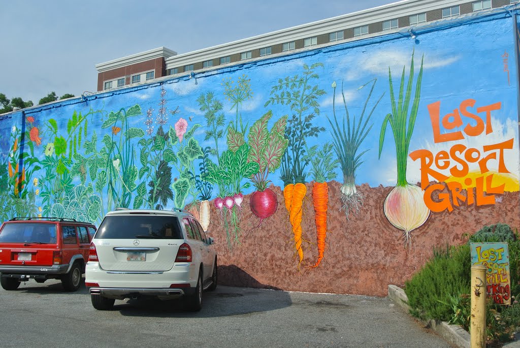 Veggie mural