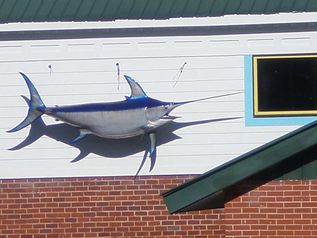 trophy fish