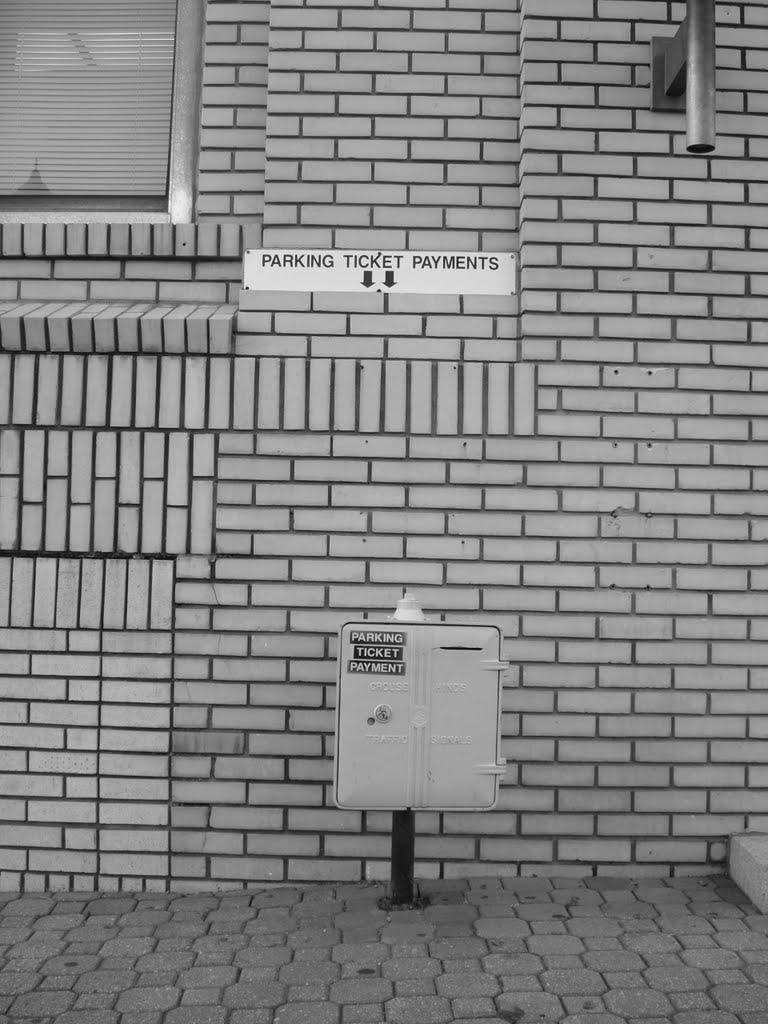 Pay the fine or do the time