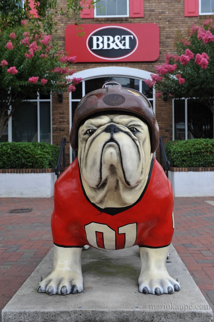Athens Georgia USA