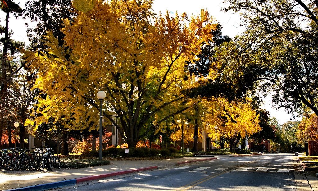 The Marine Sciences Building area in Autumn.