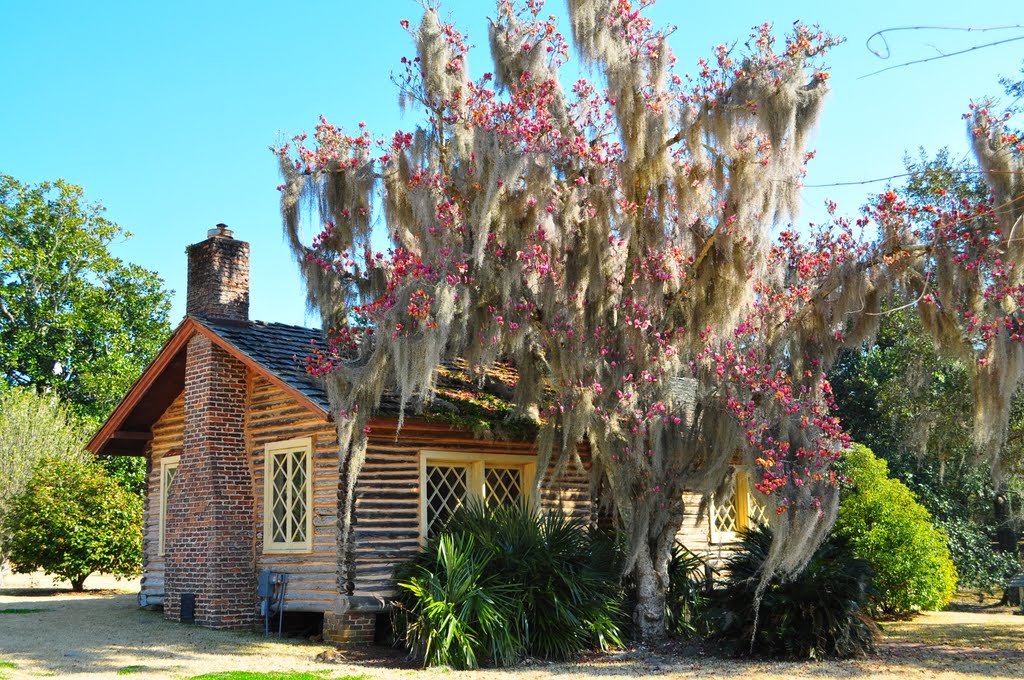 Log Cabin
