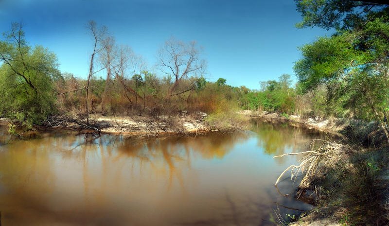 Ocklocknee River - Late Fall