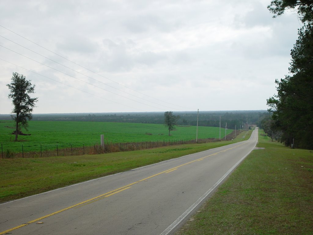 looking south toward Wacissa River, Thomas City, Florida (12-31-2006)
