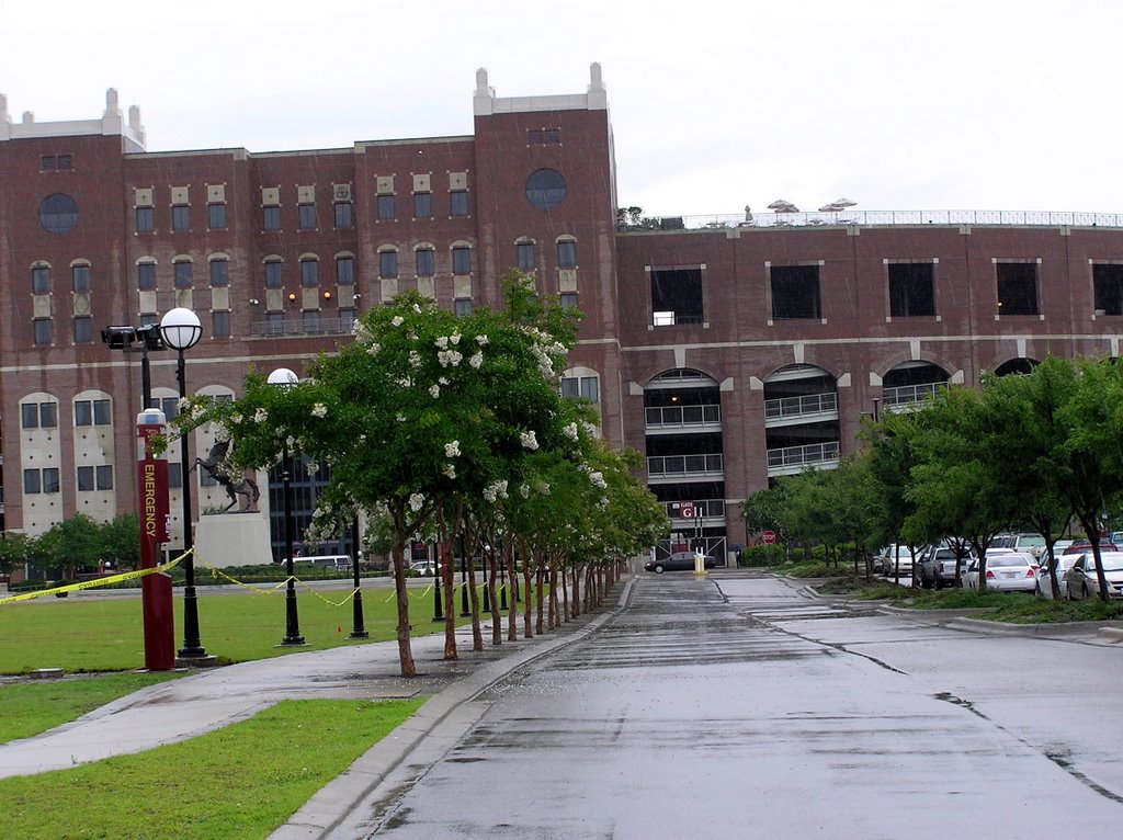FSU Football stadium