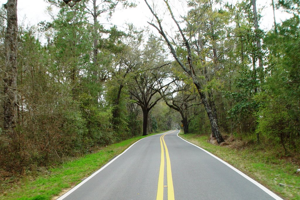 Tallahassee