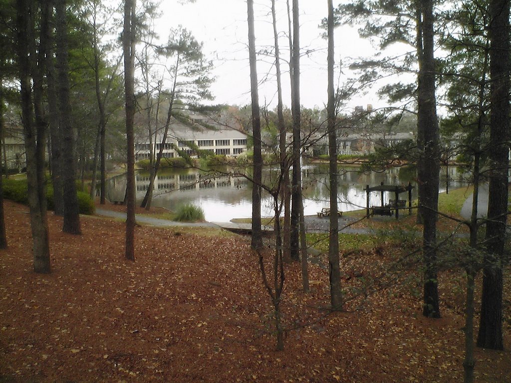 Club Hill Apartments