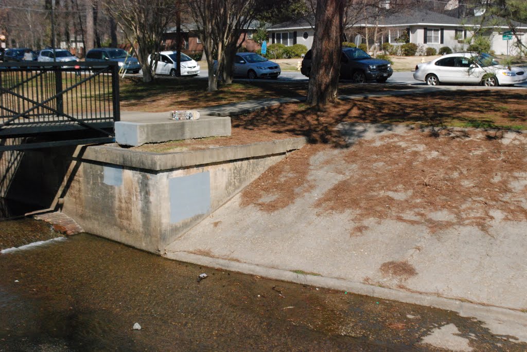 Lake Bottom Park