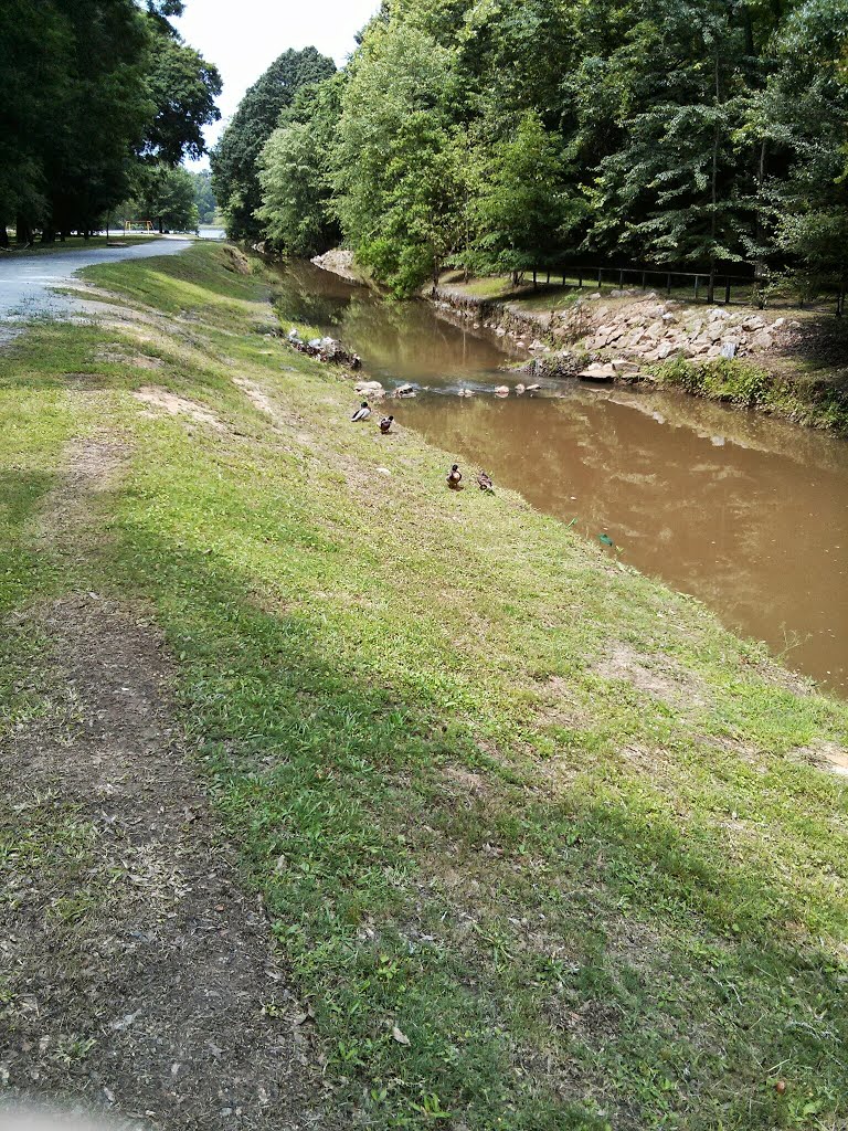 Cooper Creek Park