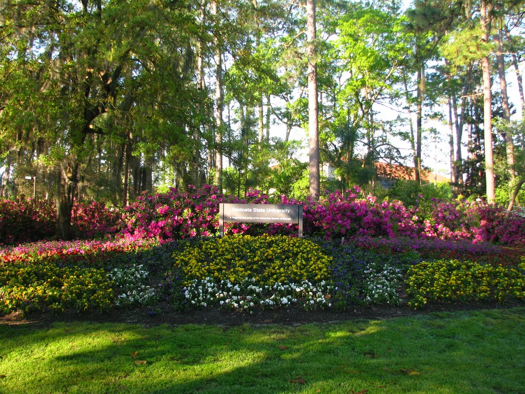 Valdosta State University flowers