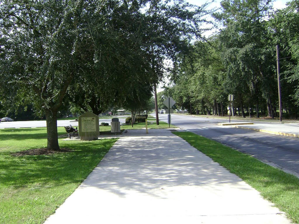 Azalea City Trail looking south down N. Lee St.