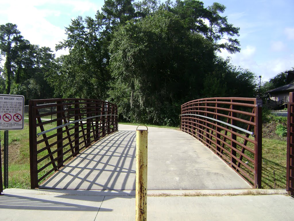 Azalea City Trail looking south along pond