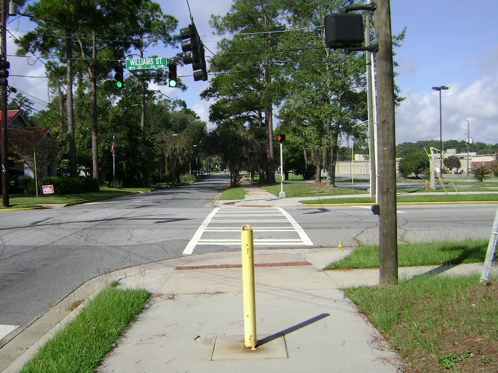 Azalea City Trail on W. Ann St. crossing Williams St.