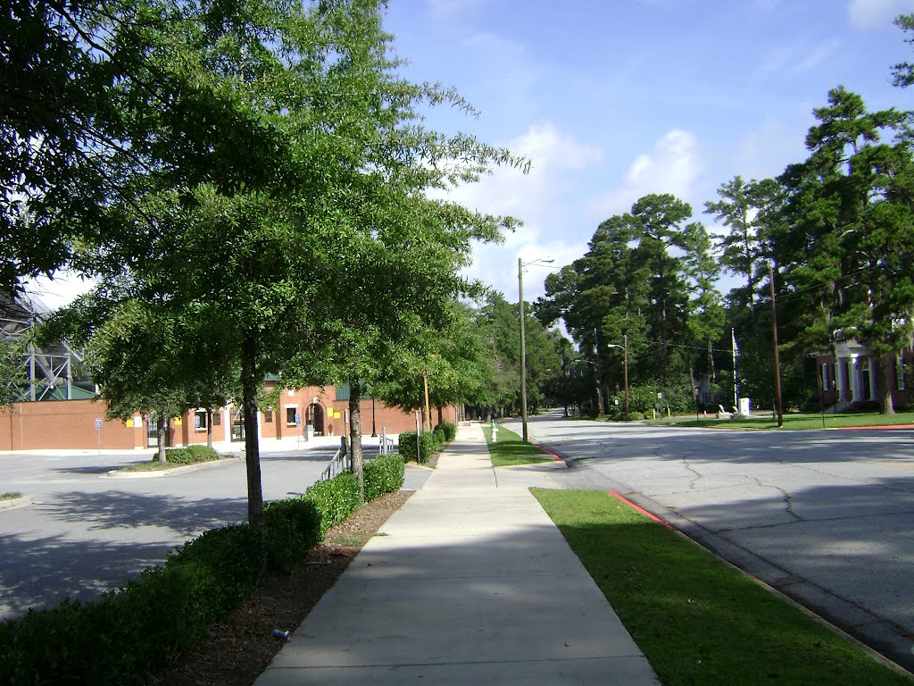 Azalea City Trail along the parking lot of Bazemore-Hyder Stadium