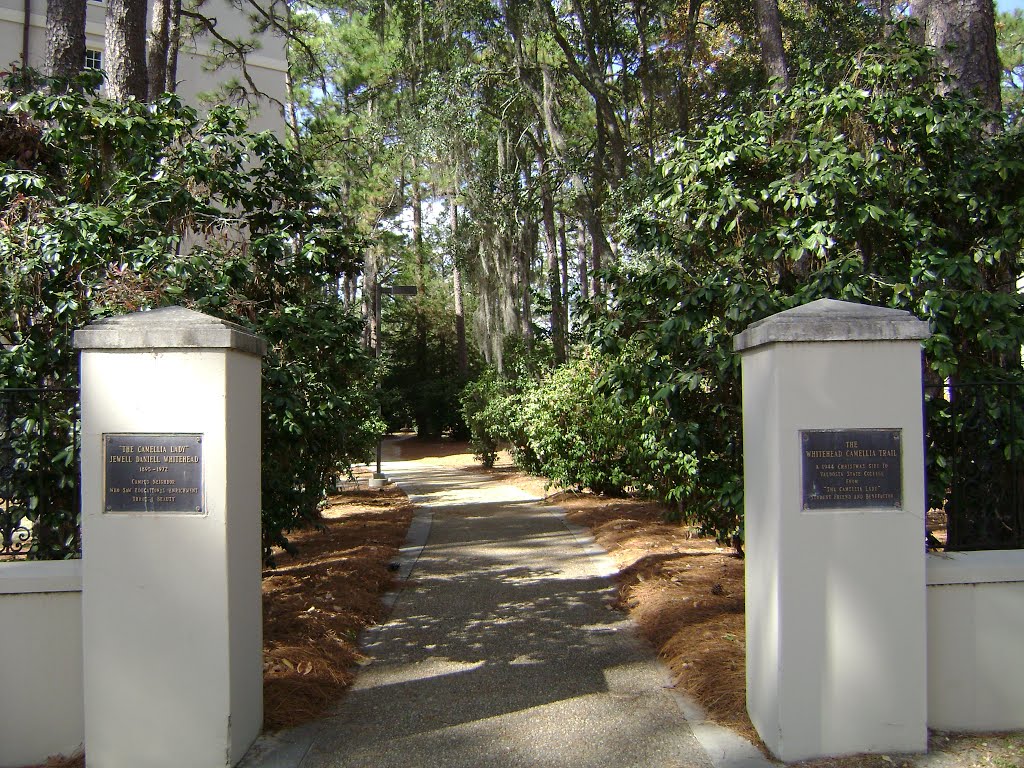 Whitehead Camelia Trail entrance, Valdosta State University
