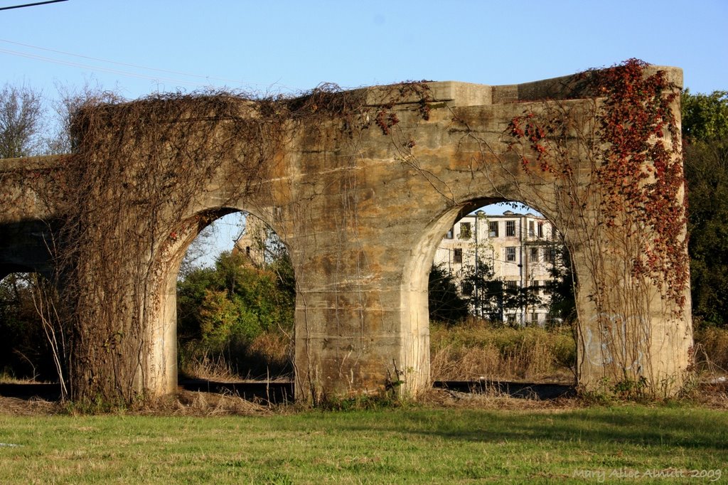 But a land without ruins is a land without memories ~ A land without memories is a land without history.
