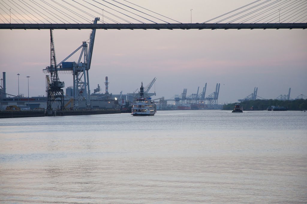 Savannah