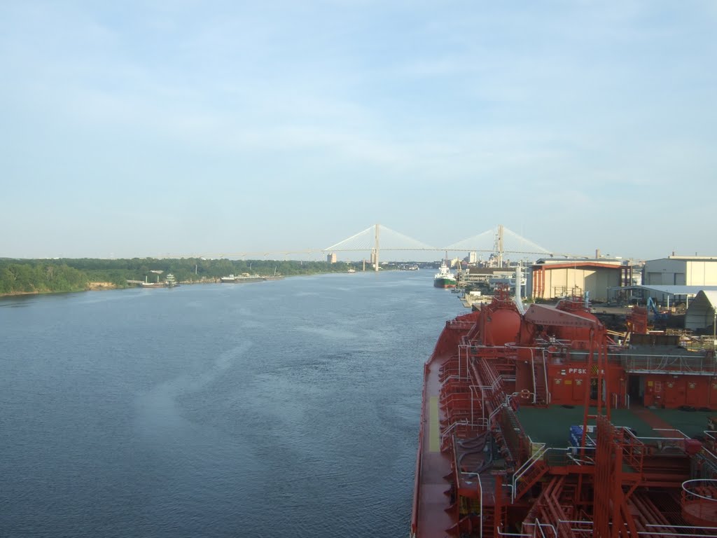 Savannah