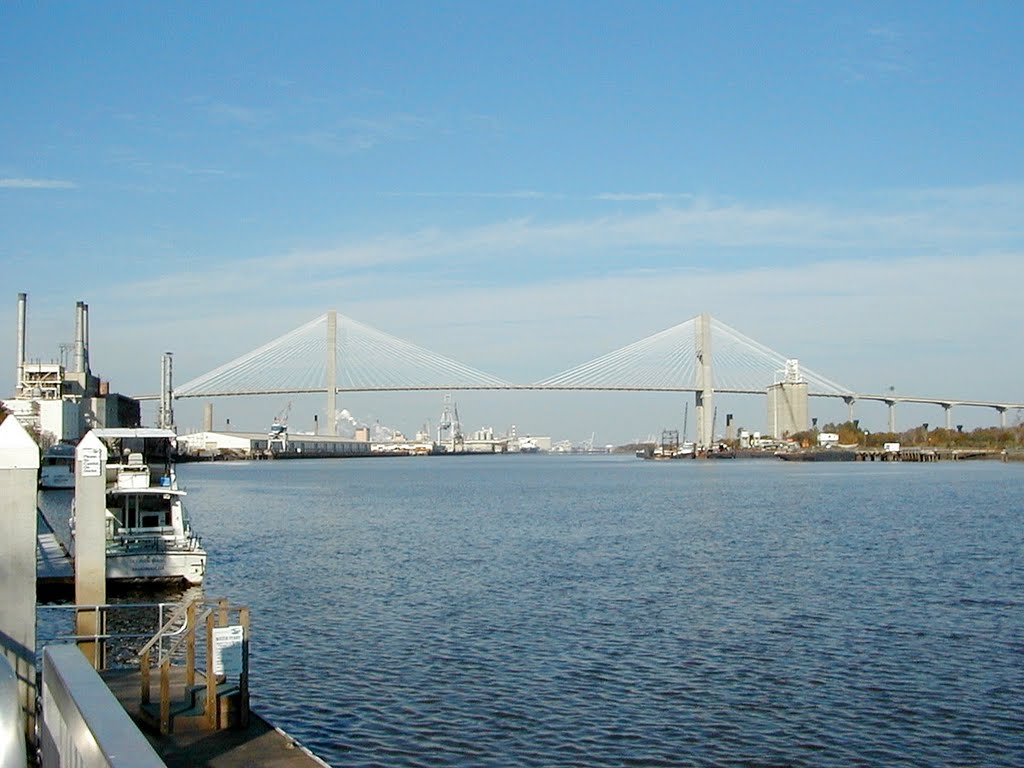 Savannah 2002