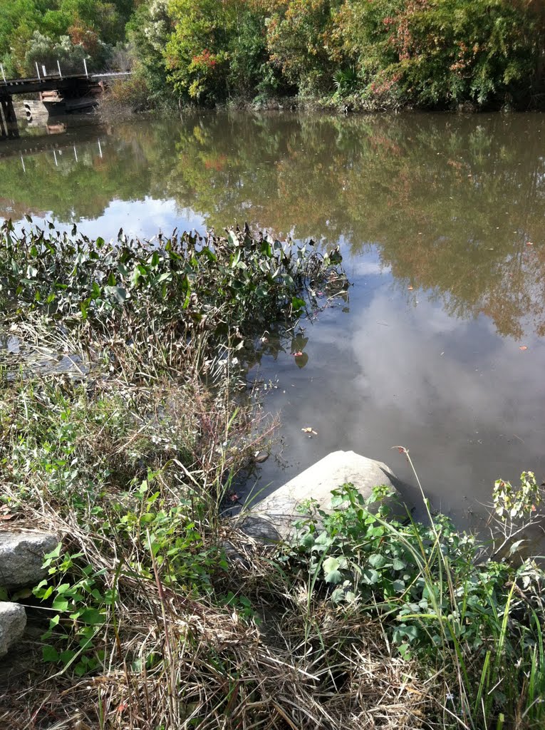 Pipe Outfall