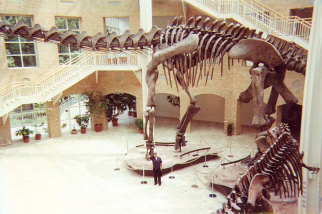Mi viejo debajo del Argentinosaurus