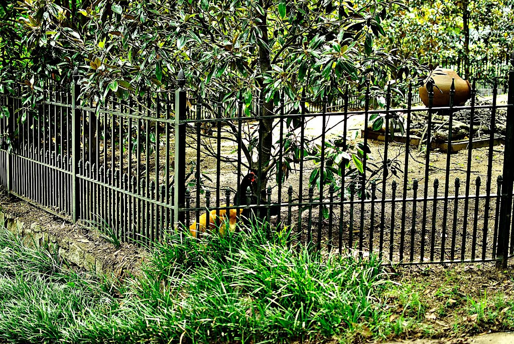 Grant Park Area
