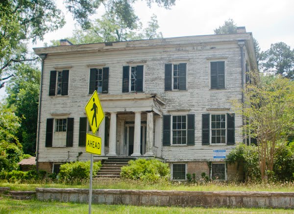 Grand Old Dame