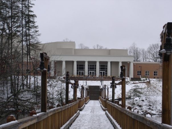 Swanson Center & Wetlands Bridge