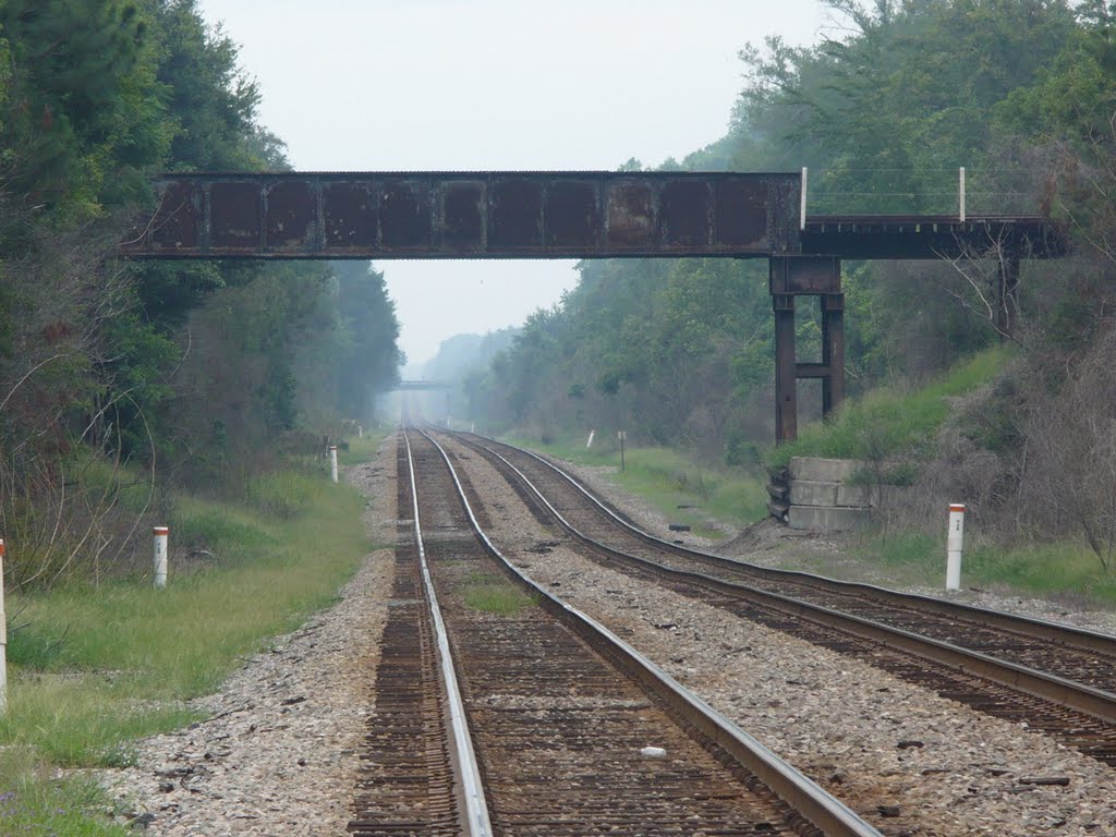 DIP IN TRACKS