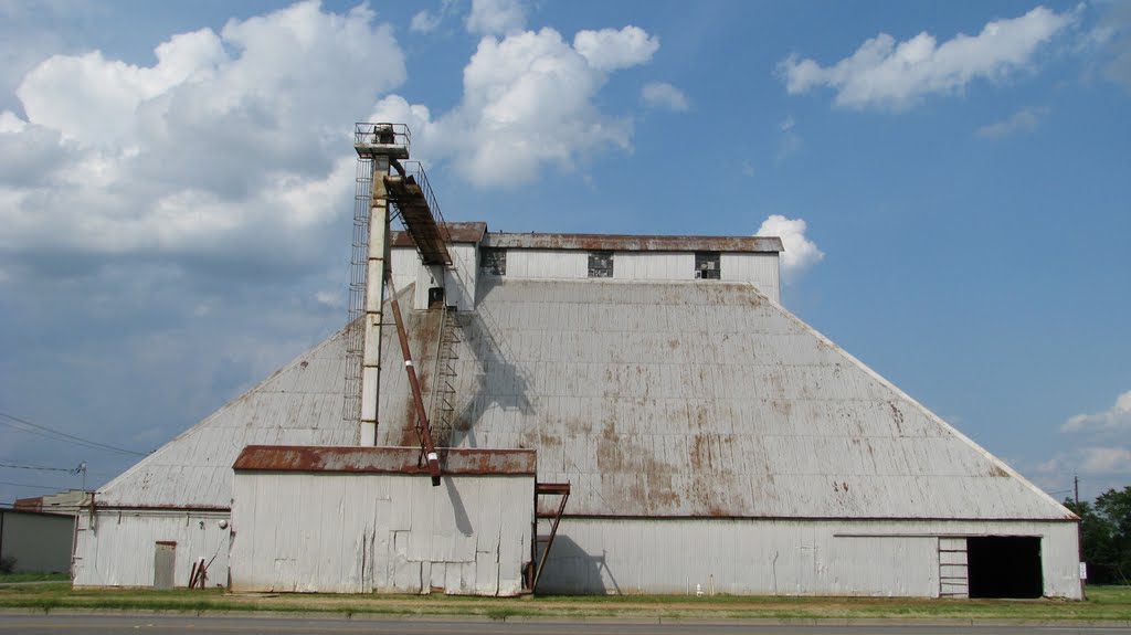 Cotton Gin and Cotton Seed Warehouse, 1937, Dublin, Georgia