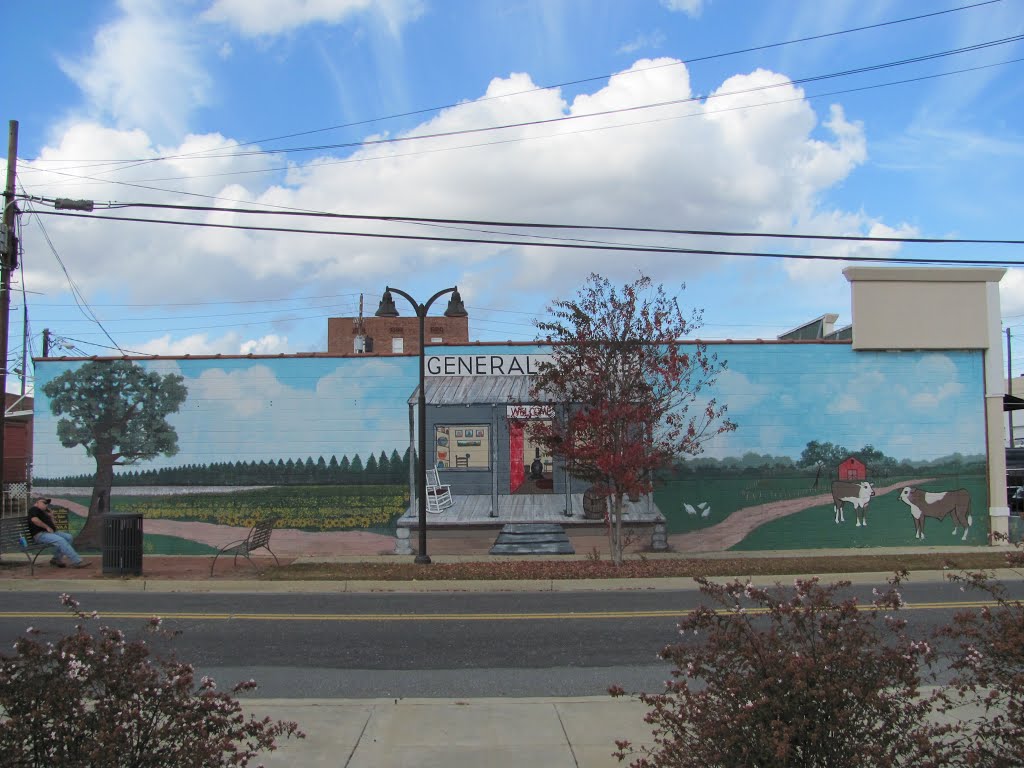 Dublin General Store Mural