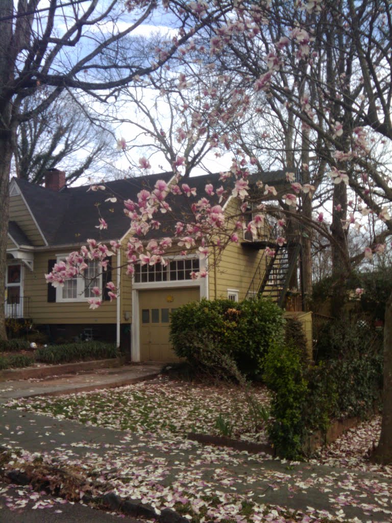 Colonial Hills Neighborhood