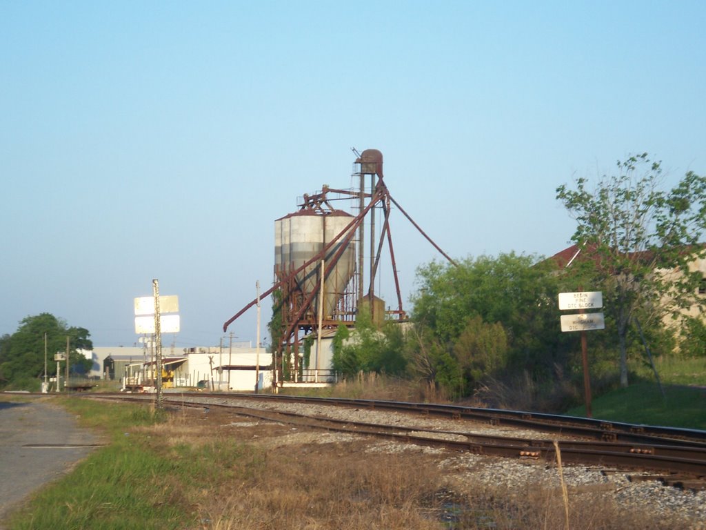 Remains of a bygone era, remaining structure of Connell Seed Company 市中心,开罗,佐治亚