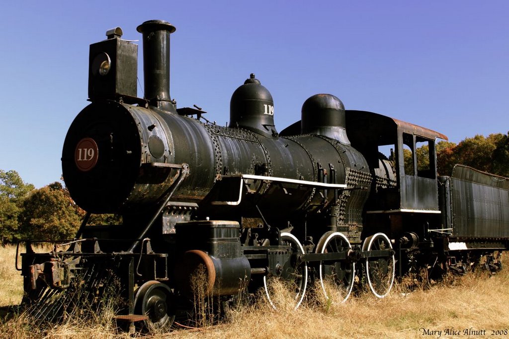 ENGINE 119.  "Elizabeth"  Built for Houston & Texas Central Railroad in April 1892 by the Cooke Locomotive & Machine Company, Patterson, New Jersey.  When Doc Holliday left Georgia, he arrived in Dallas, Texas in September, 1873 aboard the Houston & Texas
